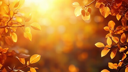 Canvas Print - Golden Autumn Leaves Illuminated by Sunlight