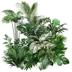 Wall Mural - A lush green jungle with many different types of plants and trees