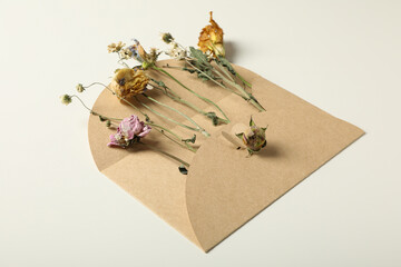 Wall Mural - Set of dried flowers in envelope on white background,  close up