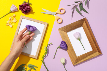 Dried and fresh flowers, photo frames, scissors and hand on purple and yellow background, top view