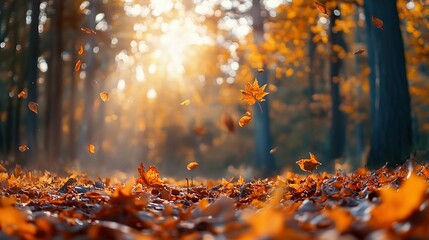 Canvas Print - Falling Autumn Leaves in a Sunlit Forest