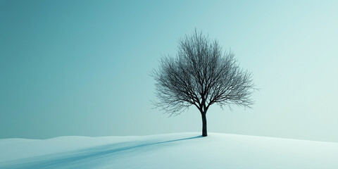Poster - Lone bare tree casting shadow on a snow covered landscape