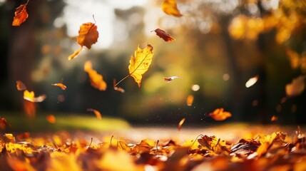 Wall Mural - A pile of yellow leaves is blowing in the wind