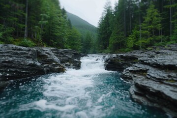 Wall Mural - Rushing mountain stream in lush green forest