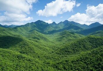 Canvas Print - Lush green mountains and cloudy sky