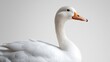 © sa-photo - Simple white duck illustration with a minimalist approach on a white background
