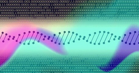 Wall Mural - Animation of dna strand over data processing on colourful background