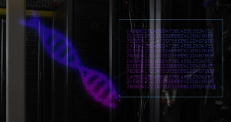 Wall Mural - Animation of dna strands and data processing over server room