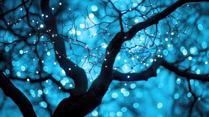 Wall Mural - Silhouetted Tree with Bokeh Lights