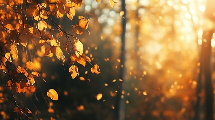 Wall Mural - Golden Autumn Leaves Falling from a Branch in a Sunlit Forest