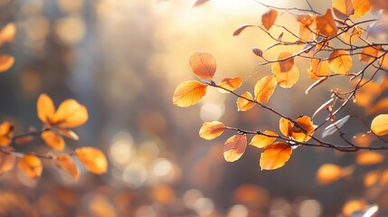 Canvas Print - Golden Autumn Leaves on a Branch in Sunlight