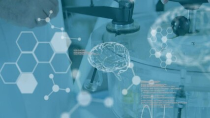 Wall Mural - animation of scientific data processing and human brains over caucasian male scientist in laboratory
