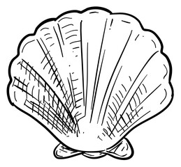 Wall Mural - shells handdrawn illustration