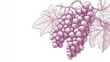 © Jeannaa - Elegant illustration of a grape cluster with leaves, perfect for wine, food, or nature-themed projects.