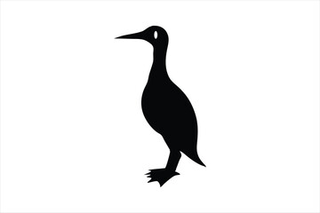 Wall Mural - Little cormorant vector art illustration