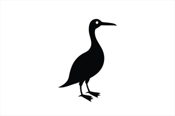 Wall Mural - Little cormorant vector art illustration