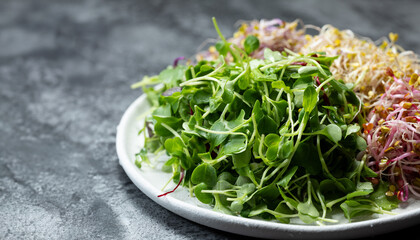 Wall Mural - Variety of sprouts on a tray