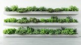 Vertical farming shelves, stacked with plants, indoor facility, bright white light