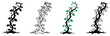 © Mh graphics - Climbing Vine with Leaves Vector Design.