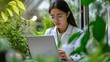 © Theeranan - Experienced scientist woman in a lab with a laptop and green plants, researching sustainable solutions and botanical studies