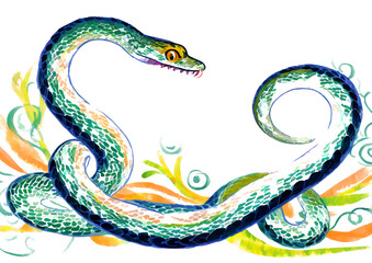 Wall Mural - Hand drawn watercolor frame with snake, brush and ink.