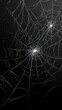 © Kamil - Dark Spider Webs on Black Background
