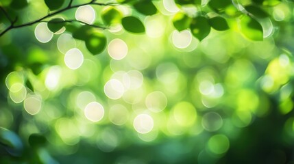 Wall Mural - Blurred green bokeh background with soft, out-of-focus circular light patterns, evoking a natural, peaceful environment.