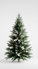 Poster - Tall Christmas Tree Isolated