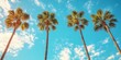 © PLATİNUM - Tall Palm Trees Sway Gently Under a Bright Blue Sky With Scattered Clouds During Midday