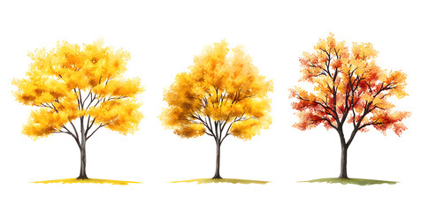 Wall Mural - Yellow trees set isolated on white background