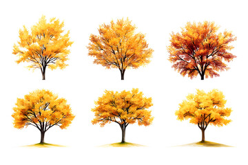 Poster - Yellow trees set isolated on white background