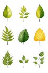 Sticker - A set of leafy plants with different colors and sizes. The leaves are green and yellow, and they are arranged in a row