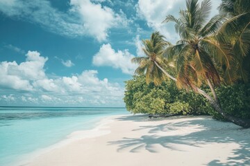 A beautiful beach with palm trees and a clear blue sky