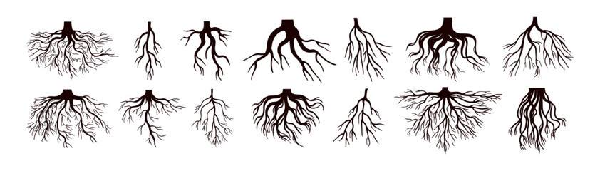 Tree roots silhouettes set. Wood growth, plant system, eco pattern, natural organic shapes. Bare underground forest branches. Botany elements. Flat vector illustration isolated on white background