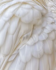 Canvas Print - White feathers overlapping each other. AI.