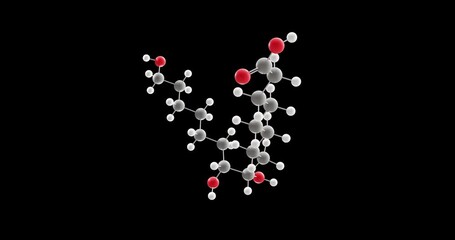 Wall Mural - Aleuritic acid molecule, rotating 3D model of fatty acids, looped video on a black background