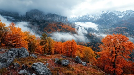 Wall Mural - Colorful autumn trees growing on mountain slopes with fog covering the dolomites