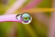 © Impressive - Vibrant Glass A close up of a dewdrop on a leaf refracting the c