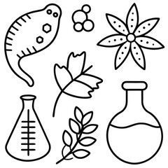 Wall Mural - biology doodle set outline coloring book page line art drawing