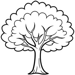 cape chestnut tree outline coloring book page line art drawing