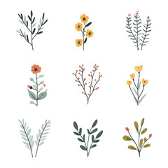 Wall Mural - 9 hand drawn simple vector wildflower shapes with simple designs on white backgrounds.