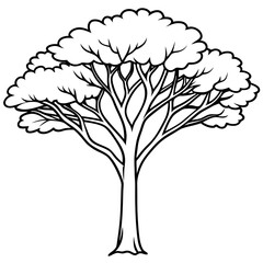 eucalyptus tree outline coloring book page line art drawing