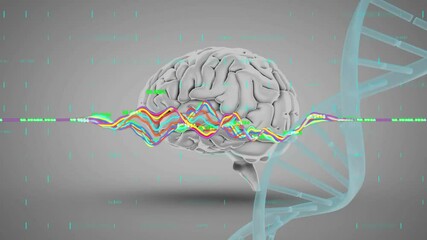 Wall Mural - Animation of data processing over dna strand and human brain