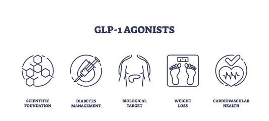 GLP-1 agonists as medicine to treat type 2 diabetes outline icons collection. Labeled elements with scientific drugs foundation, illness management, weight loss and cardio health vector illustration.