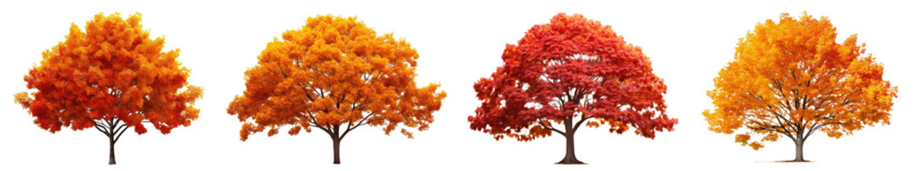 Wall Mural - Autumn trees png cut out element set