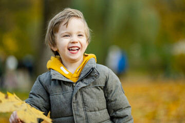 Wall Mural - Cute little boy playing outdoors on sunny autumn day. Child exploring nature. Fall activities for kids.