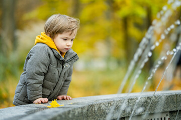 Canvas Print - Cute little boy playing outdoors on sunny autumn day. Child exploring nature. Fall activities for kids.