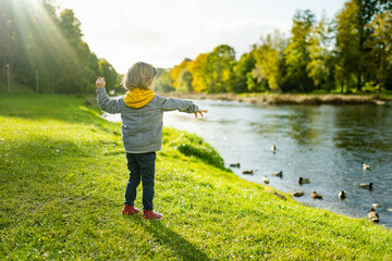 Canvas Print - Cute little boy playing outdoors on sunny autumn day. Child exploring nature. Fall activities for kids.