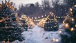 © vlntn - Dusk at Christmas Tree Farm