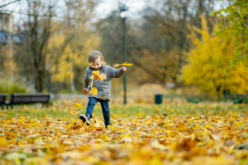 Wall Mural - Cute little boy playing outdoors on sunny autumn day. Child exploring nature. Fall activities for kids.